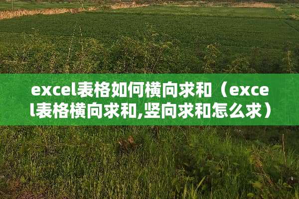excel表格如何横向求和（excel表格横向求和,竖向求和怎么求）