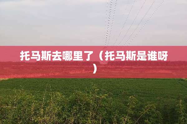 托马斯去哪里了（托马斯是谁呀）