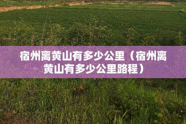 宿州离黄山有多少公里（宿州离黄山有多少公里路程）