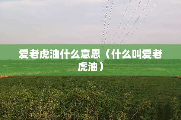 爱老虎油什么意思（什么叫爱老虎油）