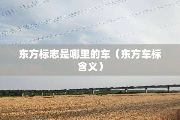 东方标志是哪里的车（东方车标含义）