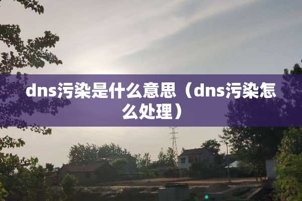 dns污染是什么意思（dns污染怎么处理）