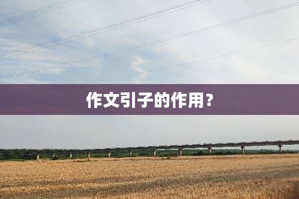 作文引子的作用？
