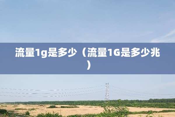 流量1g是多少（流量1G是多少兆）