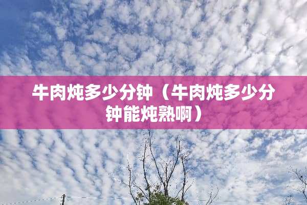 牛肉炖多少分钟（牛肉炖多少分钟能炖熟啊）