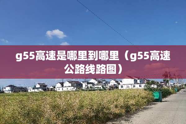 g55高速是哪里到哪里（g55高速公路线路图）