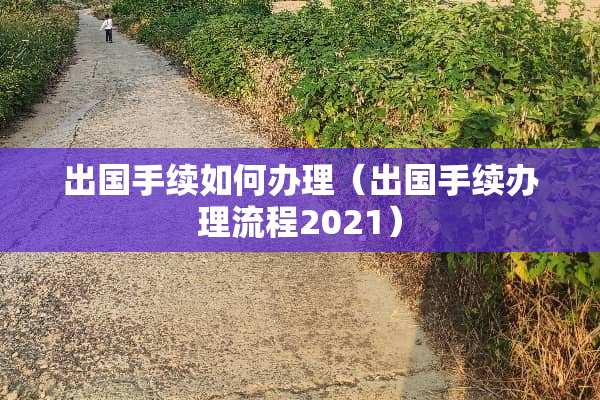 出国手续如何办理（出国手续办理流程2021）
