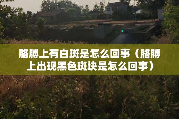 胳膊上有白斑是怎么回事（胳膊上出现黑色斑块是怎么回事）