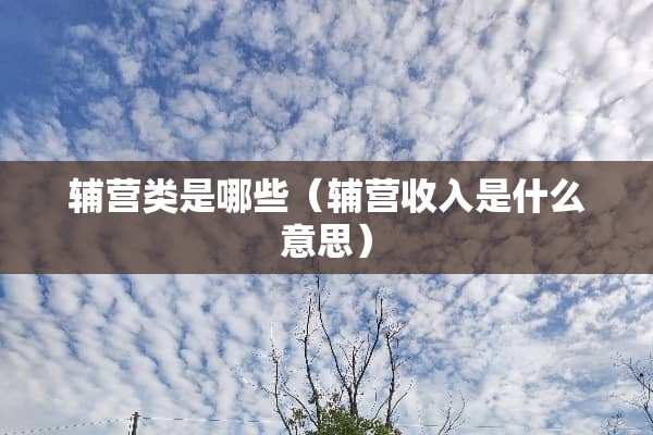 辅营类是哪些（辅营收入是什么意思）