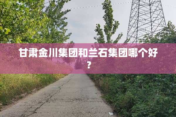 甘肃金川集团和兰石集团哪个好？