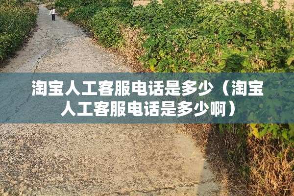 淘宝人工客服电话是多少（淘宝人工客服电话是多少啊）