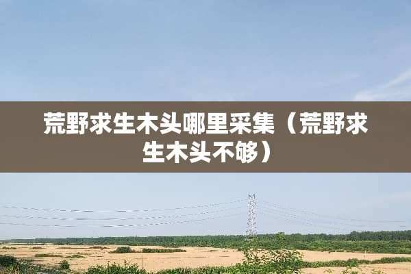荒野求生木头哪里采集（荒野求生木头不够）