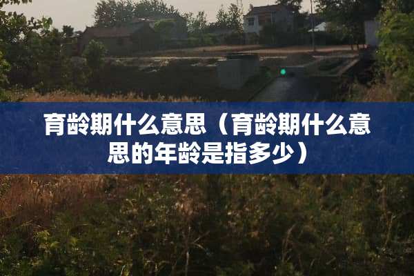 育龄期什么意思（育龄期什么意思的年龄是指多少）