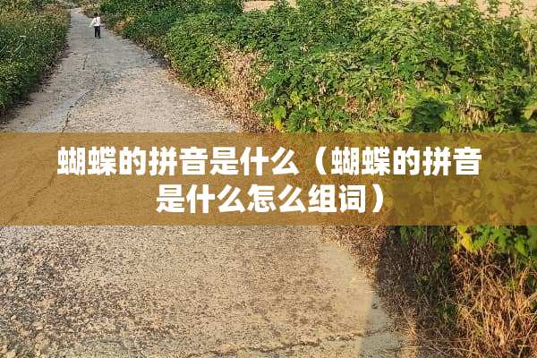 蝴蝶的拼音是什么（蝴蝶的拼音是什么怎么组词）