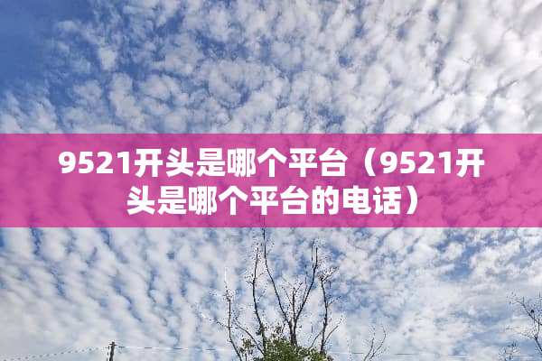 9521开头是哪个平台（9521开头是哪个平台的电话）