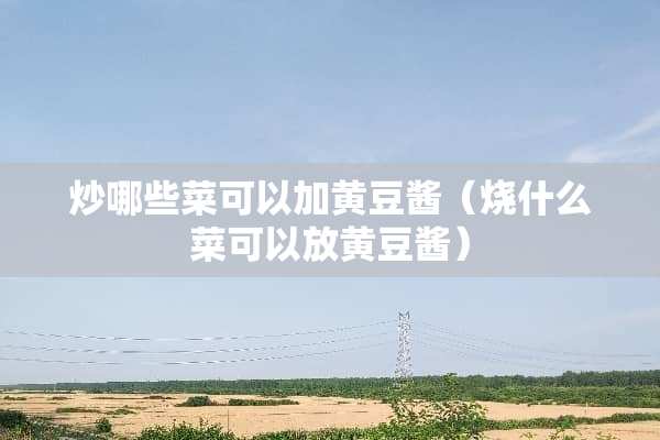 炒哪些菜可以加黄豆酱（烧什么菜可以放黄豆酱）