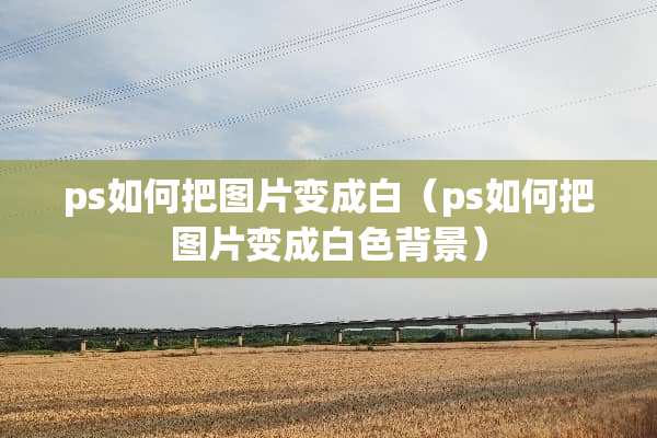 ps如何把图片变成白（ps如何把图片变成白色背景）