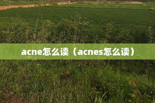 acne怎么读（acnes怎么读）