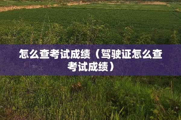怎么查考试成绩（***怎么查考试成绩）