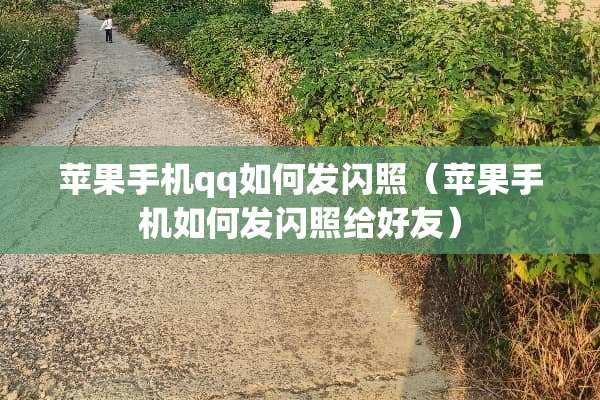 苹果手机qq如何发闪照（苹果手机如何发闪照给好友）