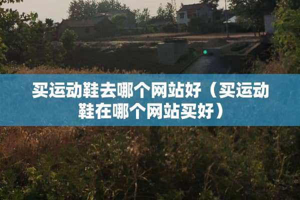 买运动鞋去哪个网站好（买运动鞋在哪个网站买好）