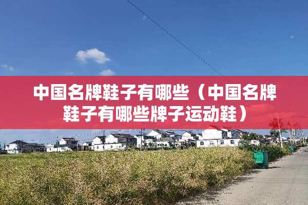中国名牌鞋子有哪些（中国名牌鞋子有哪些牌子运动鞋）