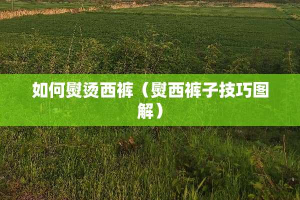 如何熨烫西裤（熨西裤子技巧图解）