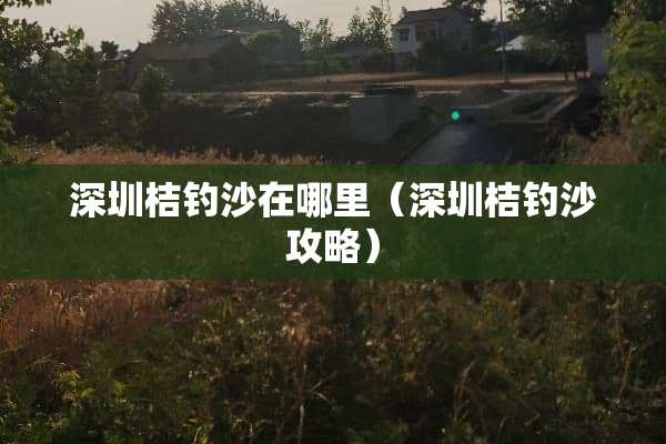 深圳桔钓沙在哪里（深圳桔钓沙攻略）