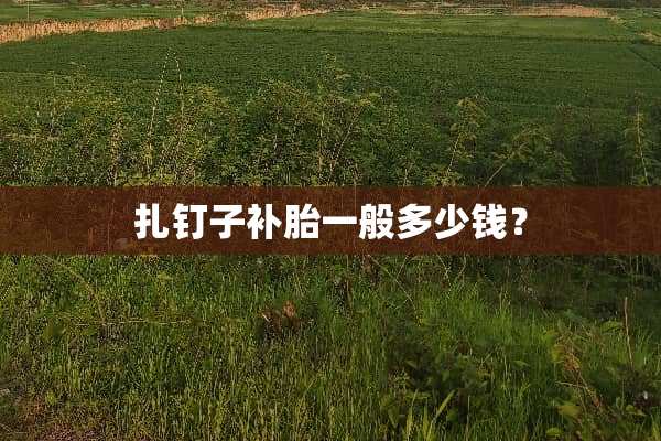 扎钉子补胎一般多少钱？