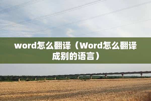 word怎么翻译（Word怎么翻译成别的语言）