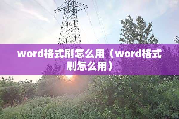 word格式刷怎么用（word格式刷怎么用）