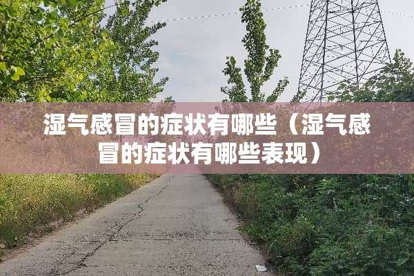 湿气感冒的症状有哪些（湿气感冒的症状有哪些表现）