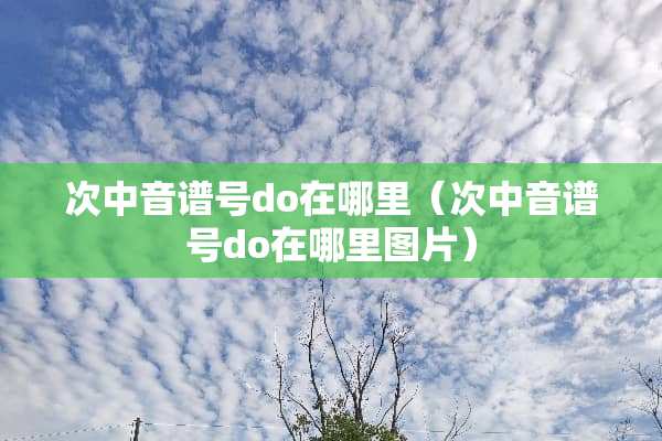次中音谱号do在哪里（次中音谱号do在哪里图片）