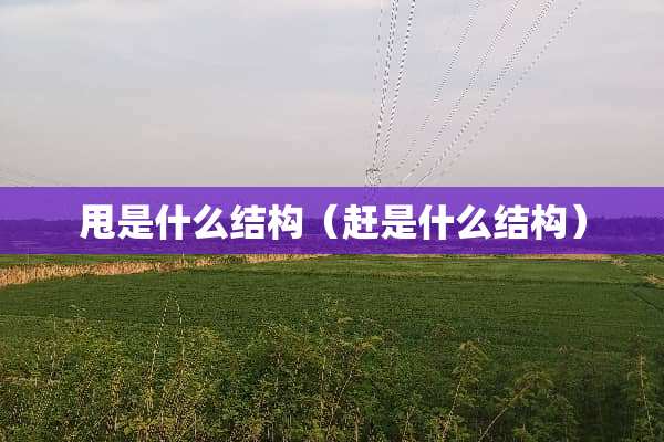 甩是什么结构（赶是什么结构）