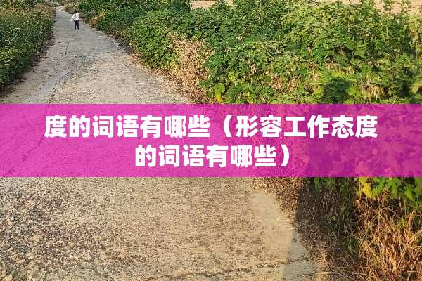 度的词语有哪些（形容工作态度的词语有哪些）