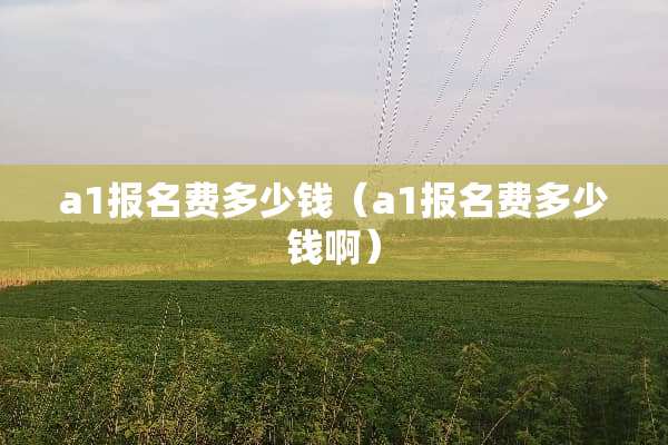 a1报名费多少钱（a1报名费多少钱啊）