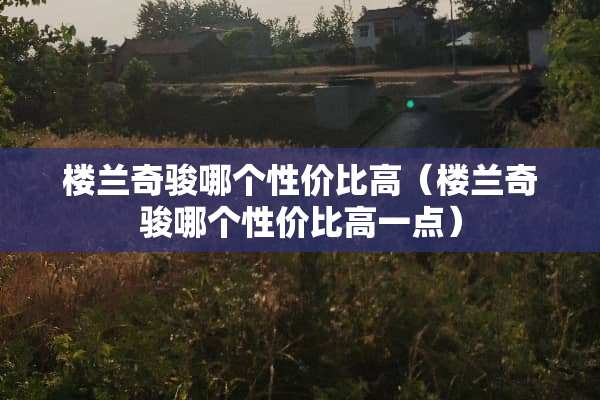 楼兰奇骏哪个性价比高（楼兰奇骏哪个性价比高一点）