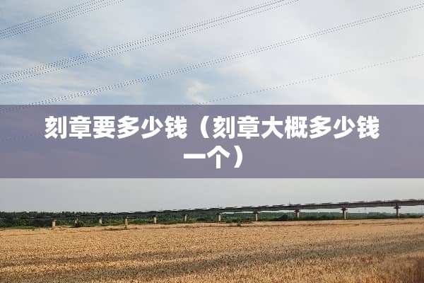 **要多少钱（**大概多少钱一个）