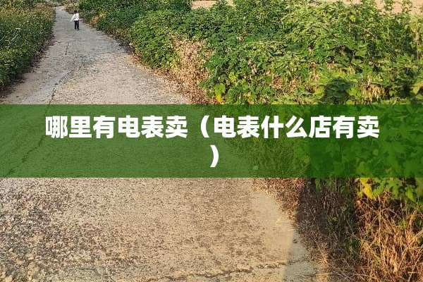 哪里有电表卖（电表什么店有卖）
