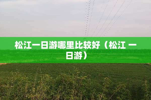 松江一日游哪里比较好（松江 一日游）
