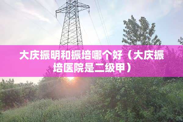 大庆振明和振培哪个好（大庆振培医院是二级甲）