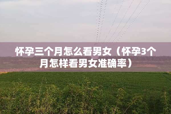 怀孕三个月怎么看男女（怀孕3个月怎样看男女准确率）