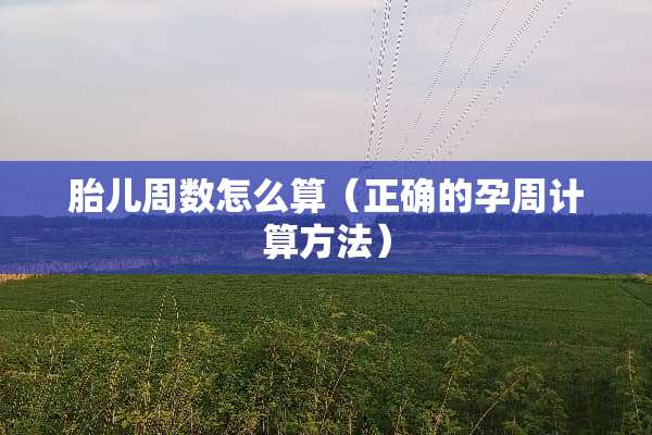 胎儿周数怎么算（正确的孕周计算方法）
