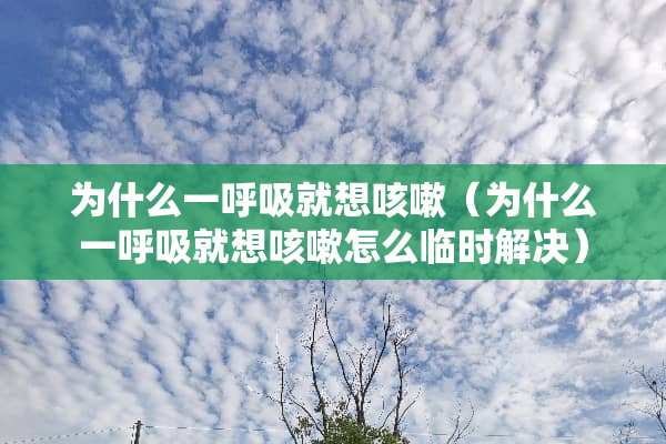 为什么一呼吸就想咳嗽（为什么一呼吸就想咳嗽怎么临时解决）