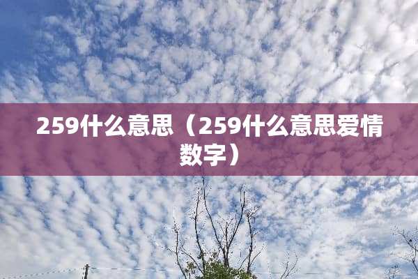 259什么意思（259什么意思爱情数字）
