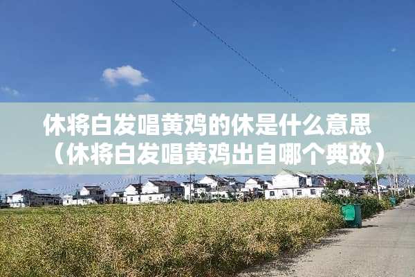 休将白发唱黄鸡的休是什么意思（休将白发唱黄鸡出自哪个典故）