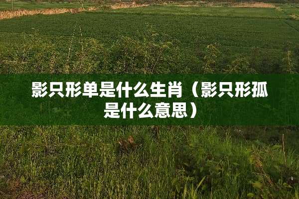 影只形单是什么生肖（影只形孤是什么意思）