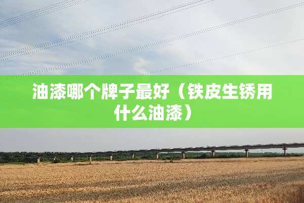 油漆哪个牌子最好（铁皮生锈用什么油漆）