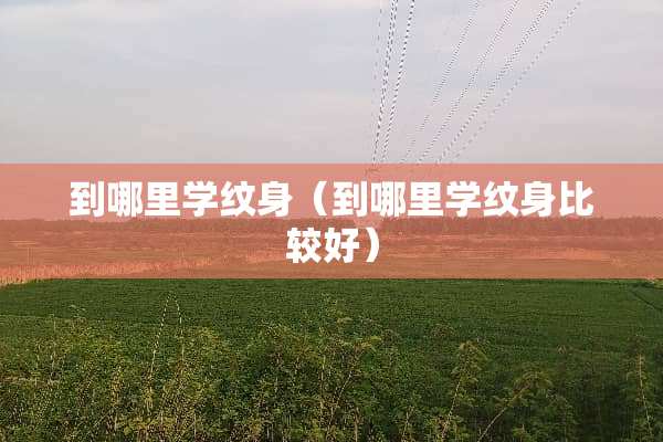 到哪里学纹身（到哪里学纹身比较好）