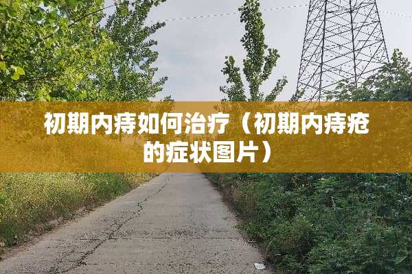 初期内痔如何治疗（初期内痔疮的症状图片）